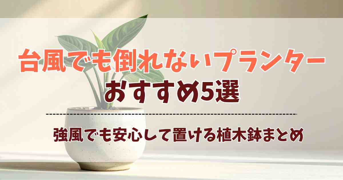 台風でも倒れないプランター5選！大型植木鉢や鉢転倒ストッパーで強風対策バッチリ