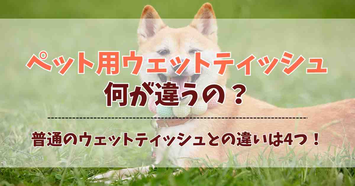 ペット用ウェットティッシュは何が違うの？4つの違いを比較しておすすめ人気ウエットを紹介